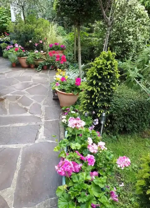 Bordure de terrasse entretenue à Chatou par Antheia Paysage