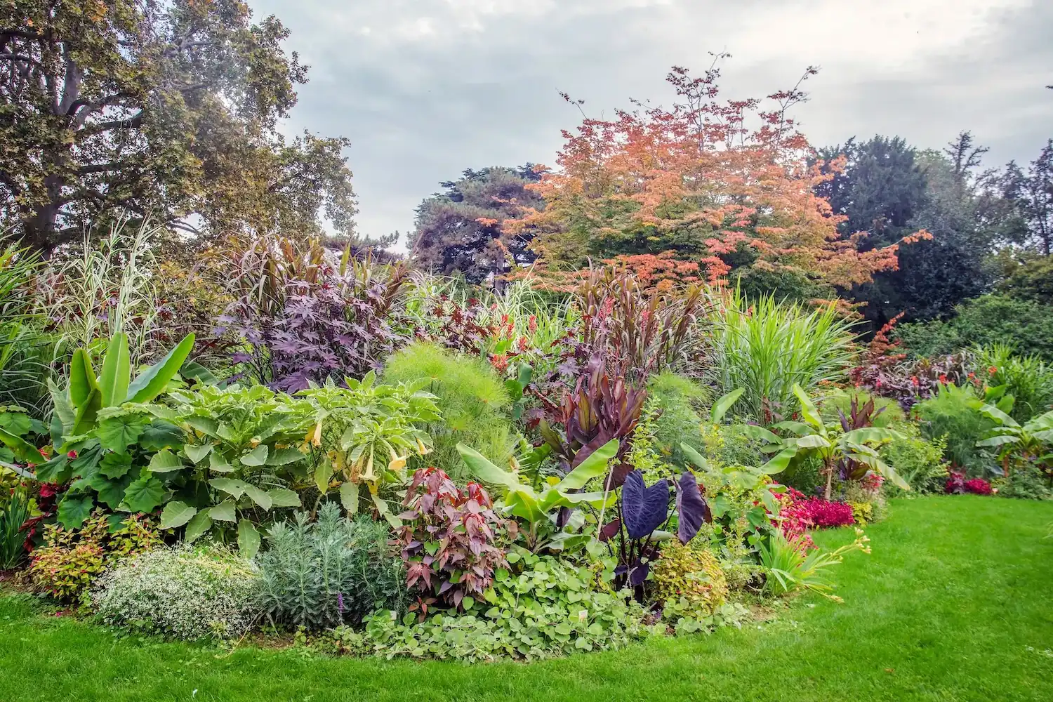 Jardin conçu sur mesure par Antheia Paysage