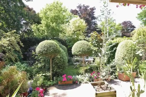 Création de jardin au Pecq par Antheia Paysage