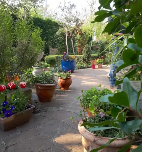 Vue d’un jardin entretenu à Chatou par Antheia Paysage